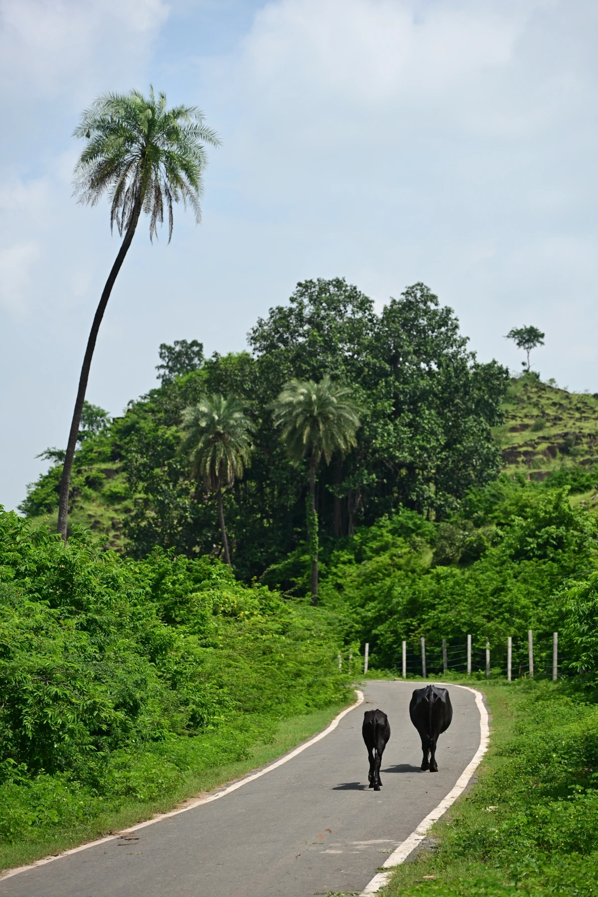 Conditions de réservation Inde