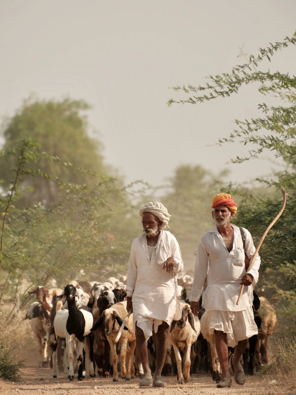 Voyages Authentiques en Ferme et Séjours 