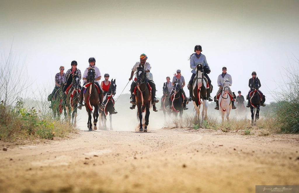 Festivals insolites Inde