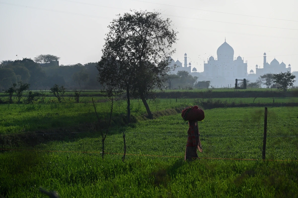 Safari aux tigres et circuit culturel en Inde