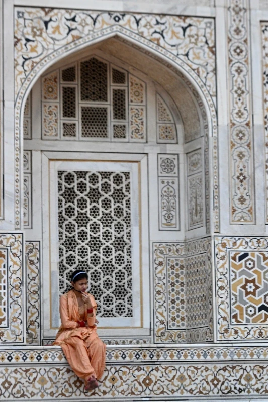 Safari aux tigres et circuit culturel en Inde