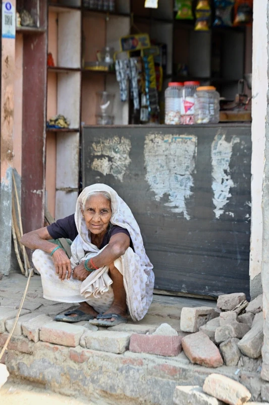 Safari aux tigres et circuit culturel en Inde