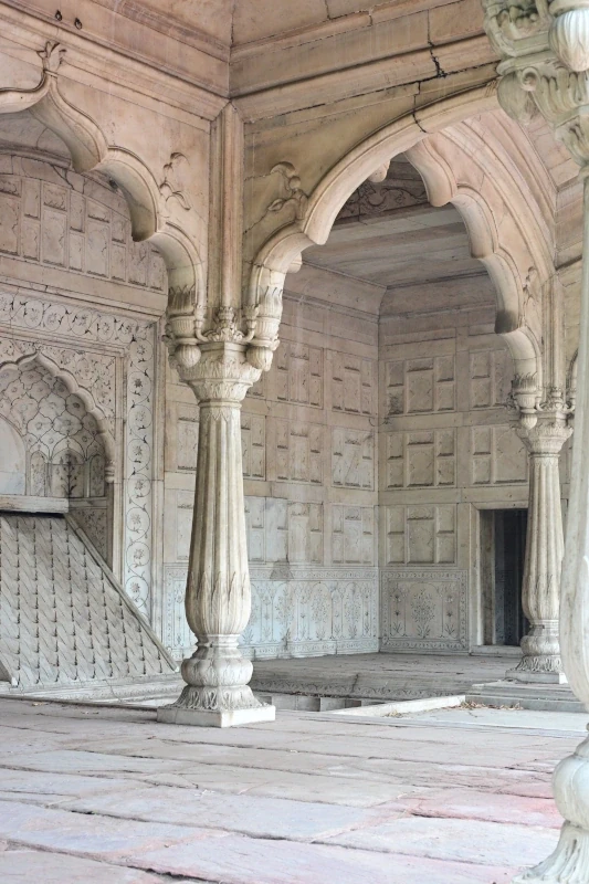 Safari aux tigres et circuit culturel en Inde