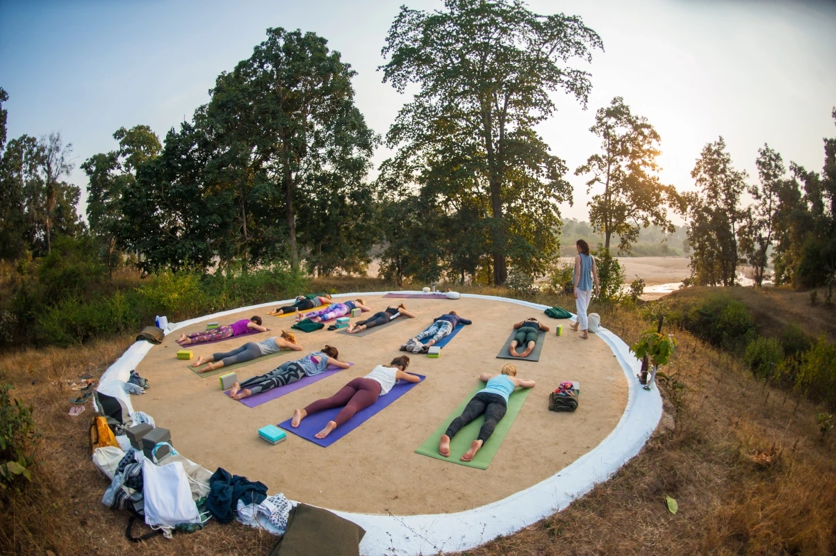 Safari aux tigres et circuit culturel en Inde