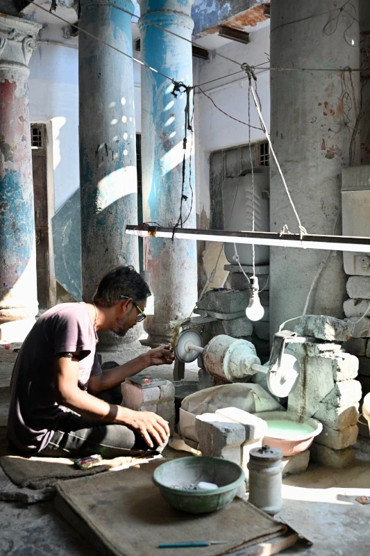 Safari aux tigres et circuit culturel en Inde