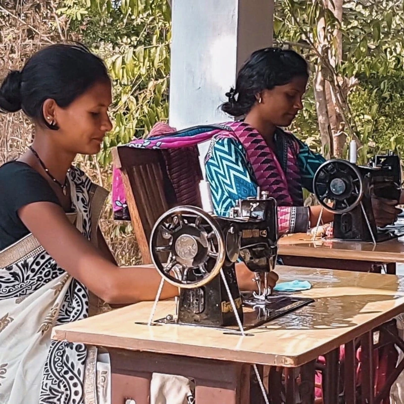 Safari aux tigres et circuit culturel en Inde