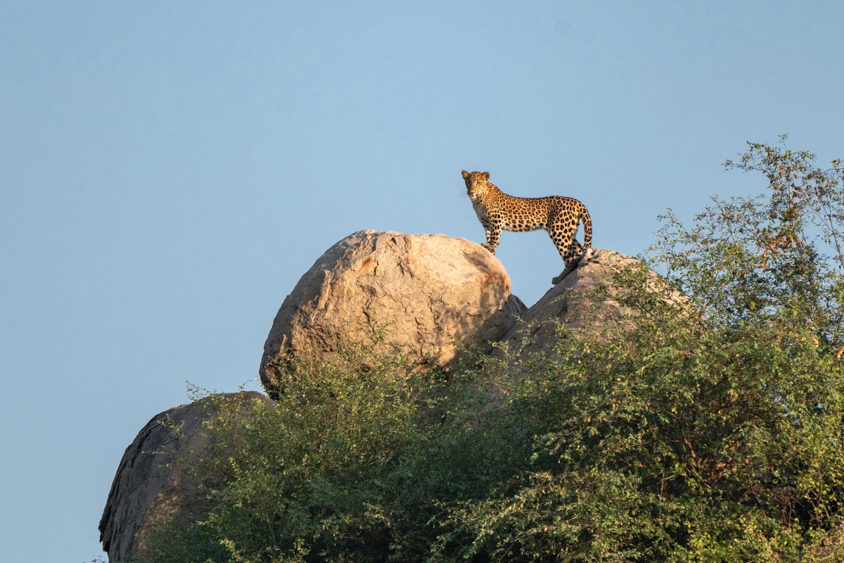 Slow travel Rajasthan